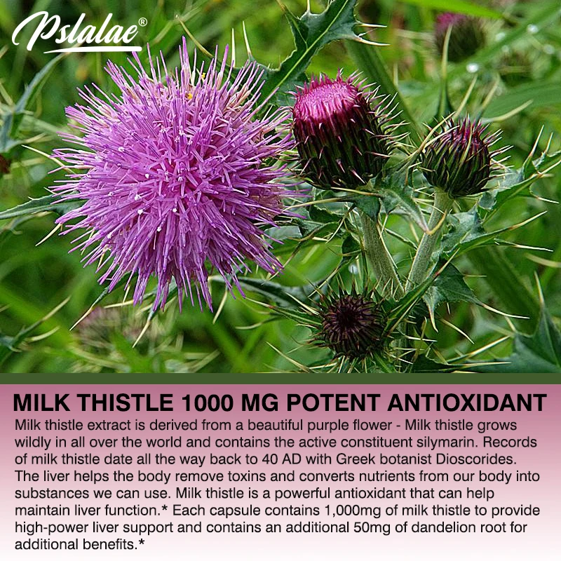 Добавка о растопке из натураль – обзор и цена Milk Thistle Silymarin